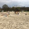 foto 10.04.16 15 18 51
